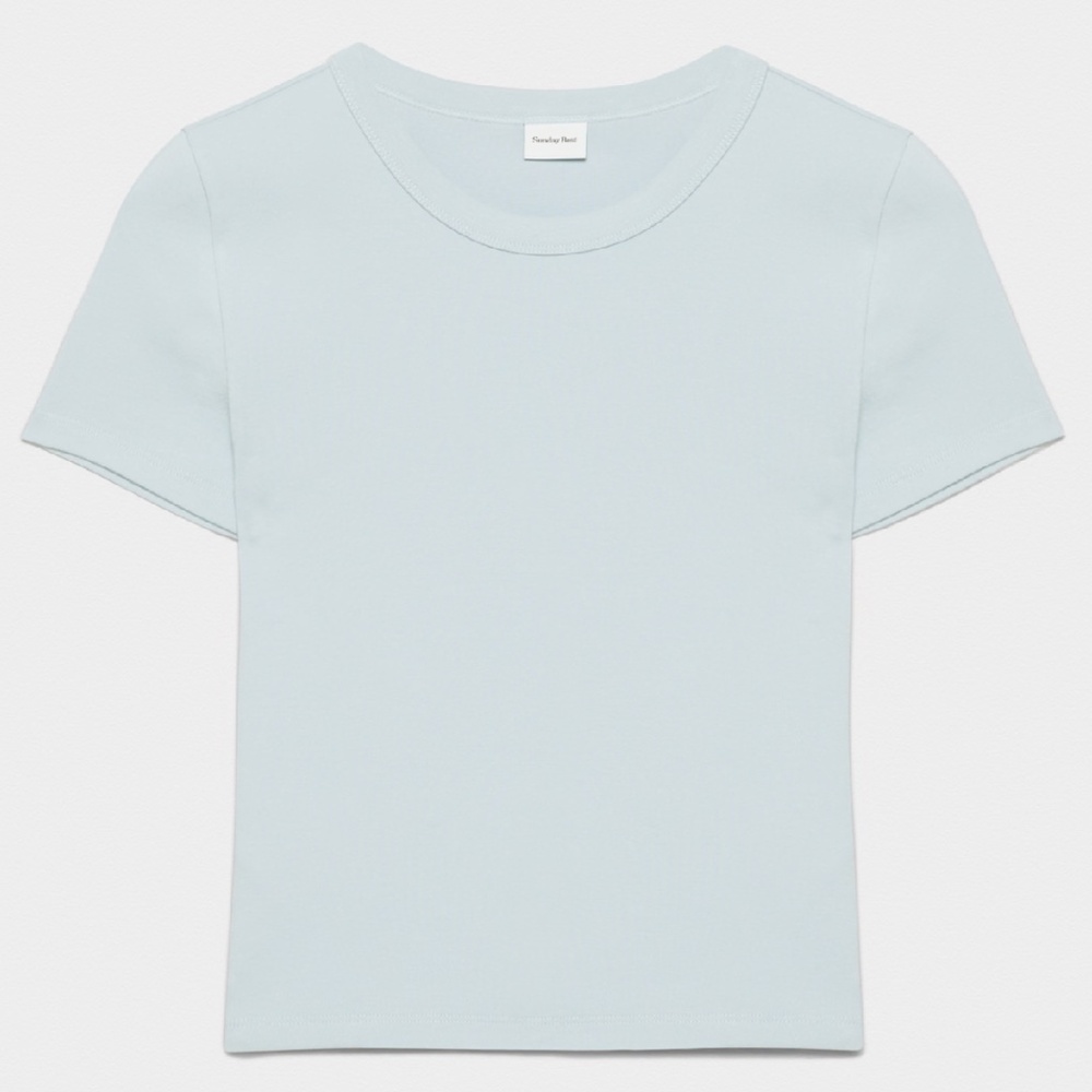 Aritzia BestHug Little Ribbed T-Shirt